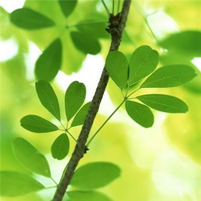 雷神手游江山美人下载